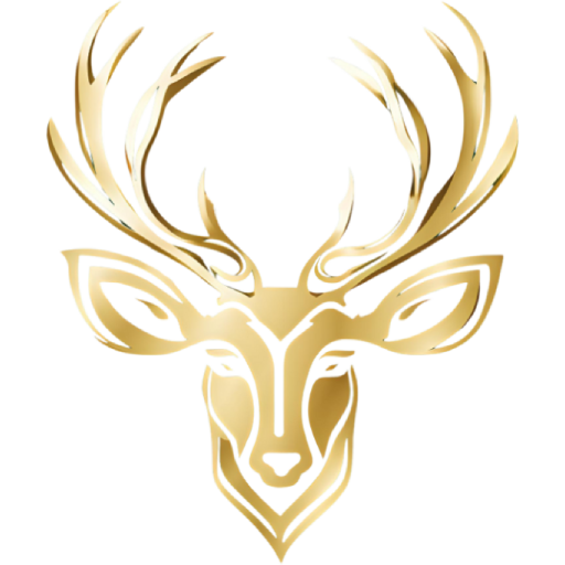 amoris icon 512
