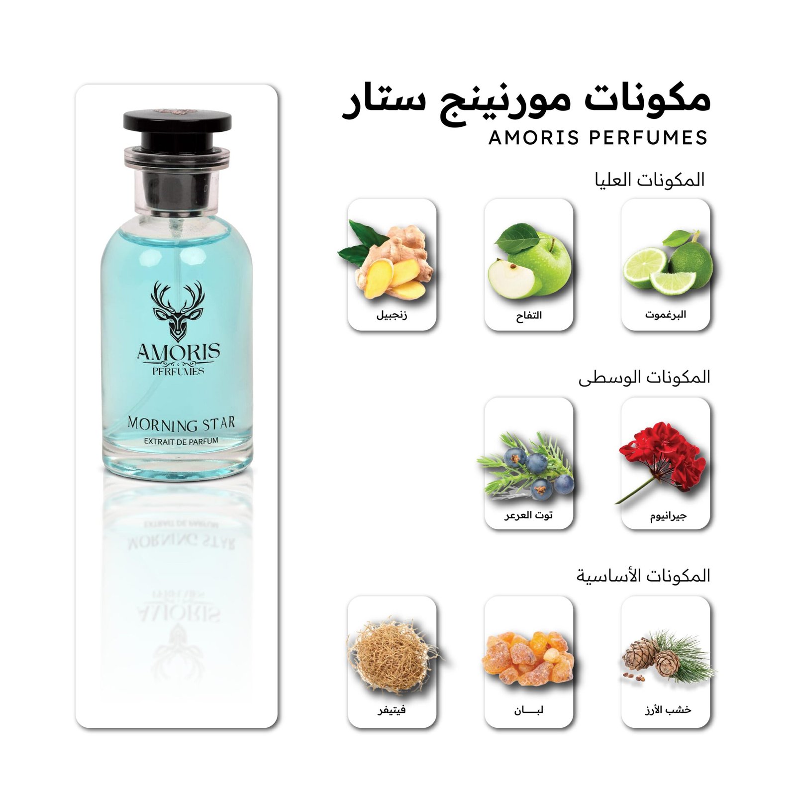 مـورنينج سـتار - الصورة 5