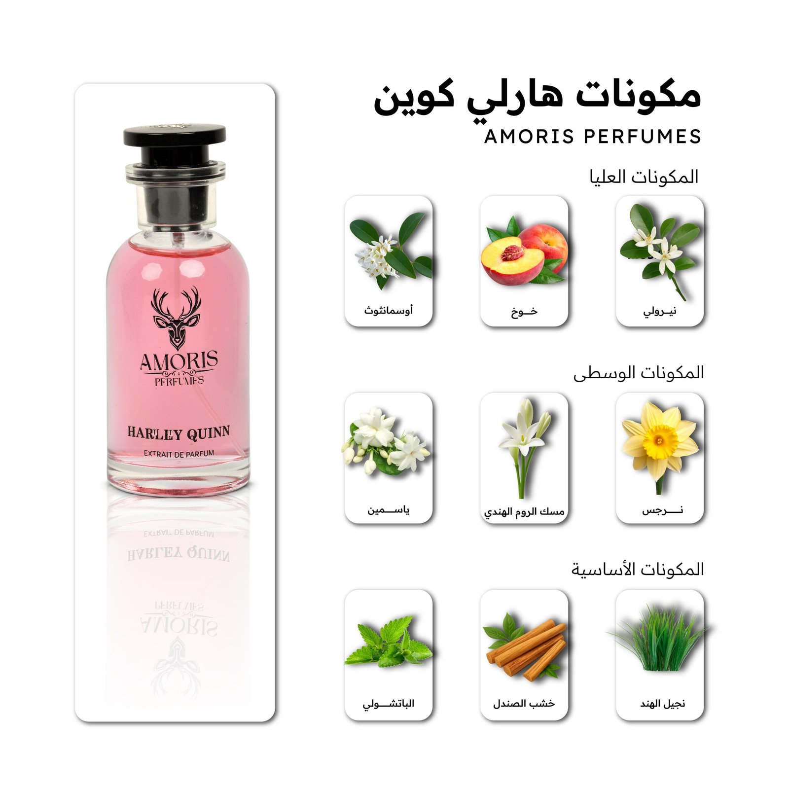 هـارلي كـوين - الصورة 5