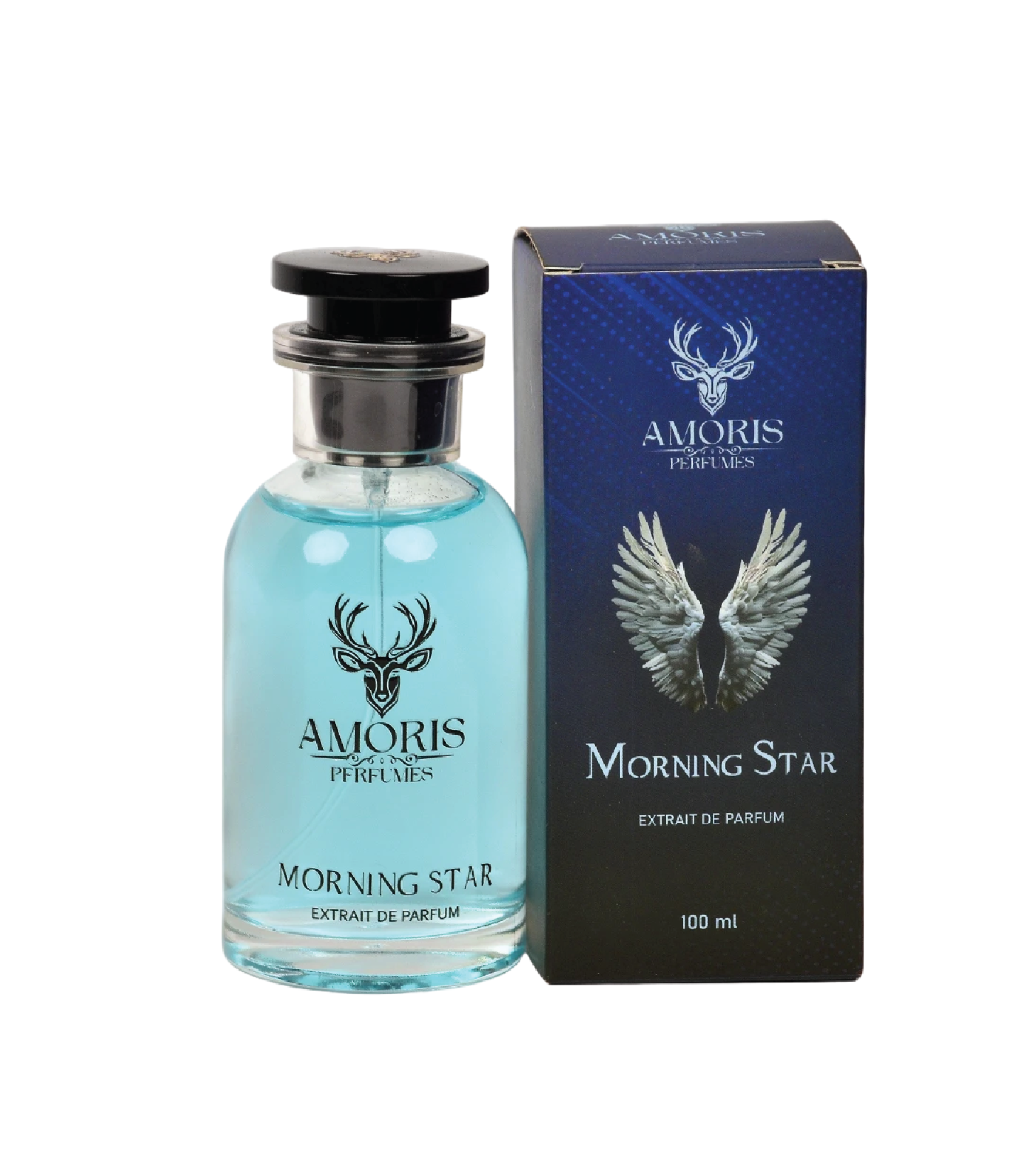 مـورنينج سـتار - الصورة 2