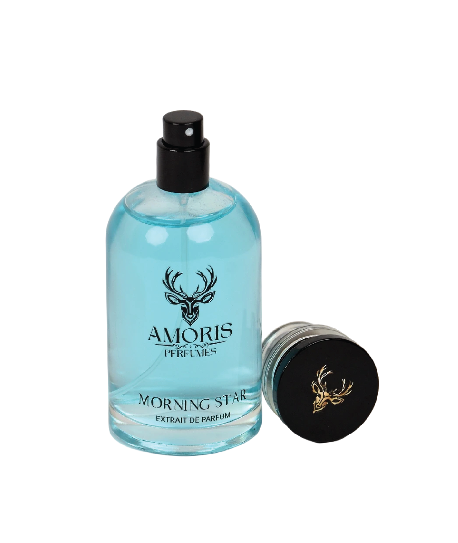 مـورنينج سـتار - الصورة 3