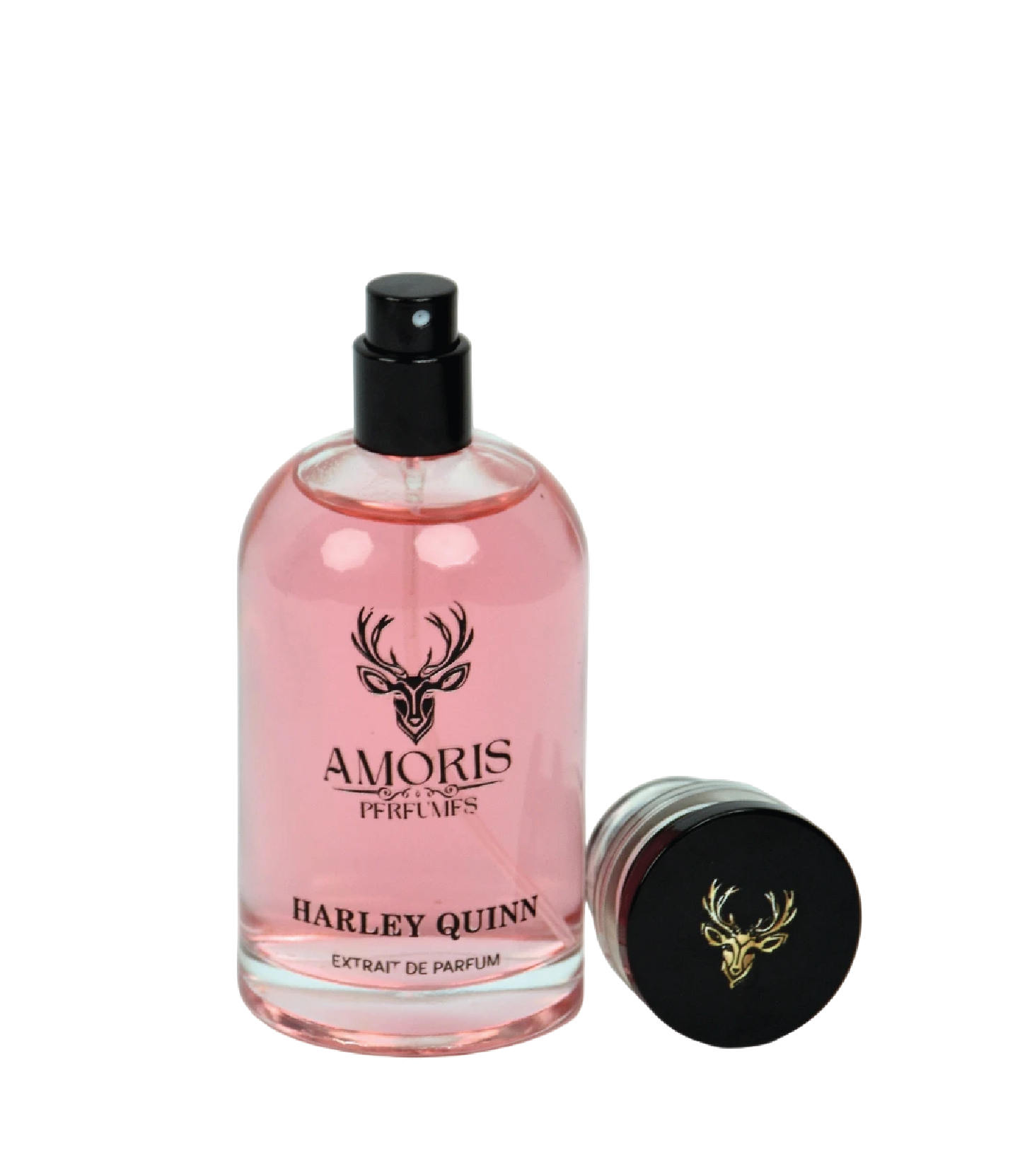 هـارلي كـوين - الصورة 3